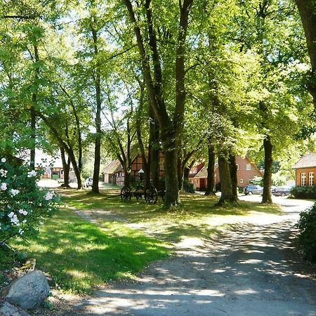 Ferienpension Lindenhof - Ferienwohnungen In Der Lueneburger Heide Marxen am Berge Ngoại thất bức ảnh