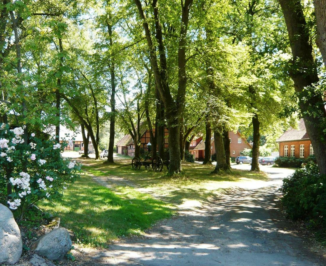 Ferienpension Lindenhof - Ferienwohnungen In Der Lueneburger Heide Marxen am Berge Ngoại thất bức ảnh
