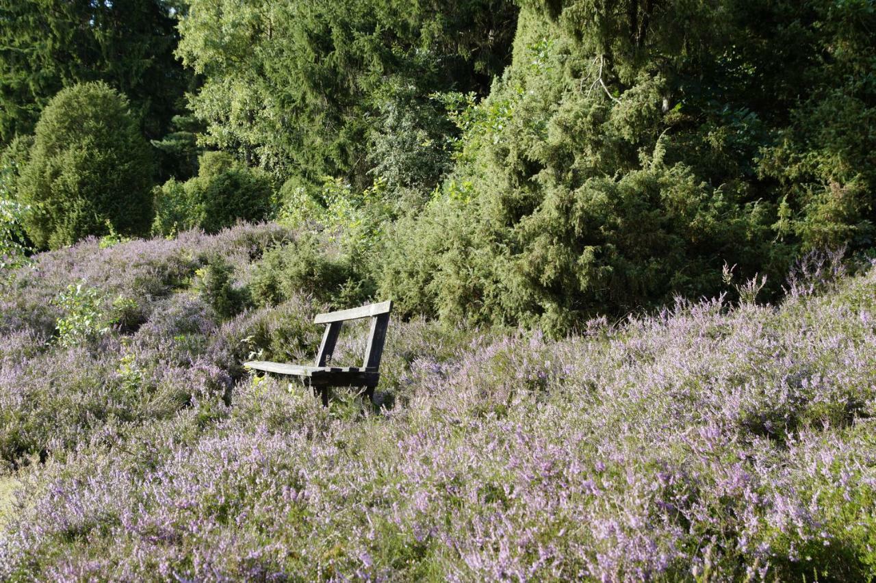 Ferienpension Lindenhof - Ferienwohnungen In Der Lueneburger Heide Marxen am Berge Ngoại thất bức ảnh