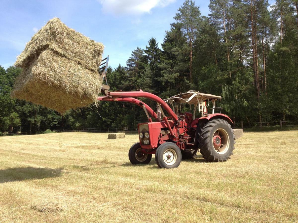 Ferienpension Lindenhof - Ferienwohnungen In Der Lueneburger Heide Marxen am Berge Ngoại thất bức ảnh